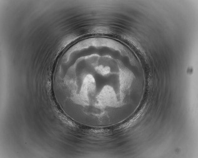 X0000099231025200805081552