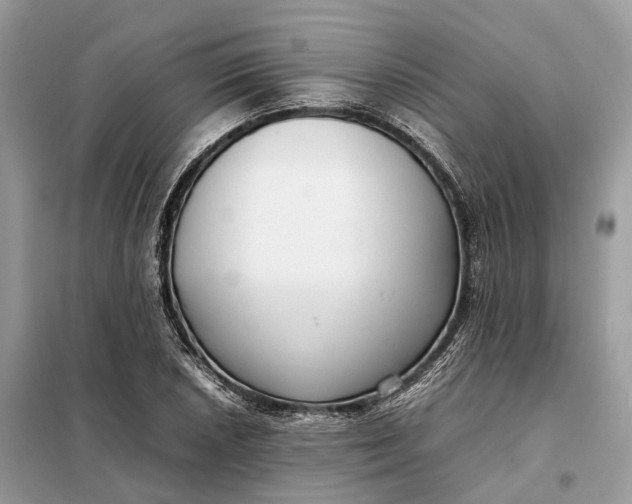 X0000099231026200805081552