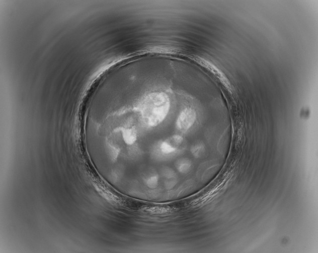 X0000099231027200805081552