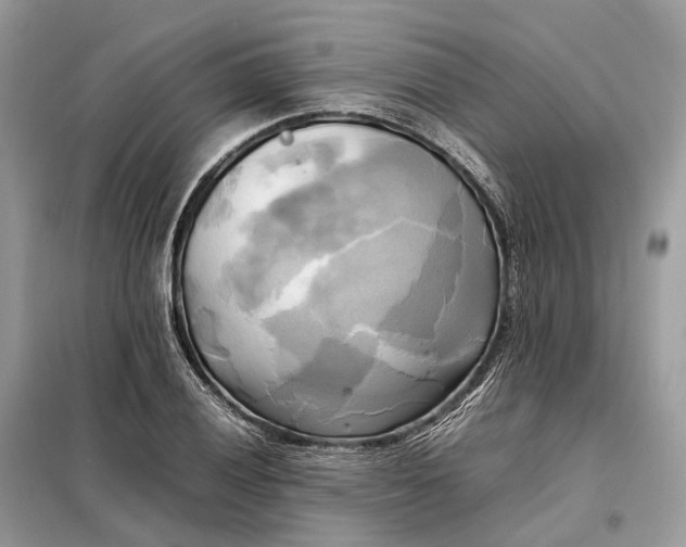 X0000099231028200805081552