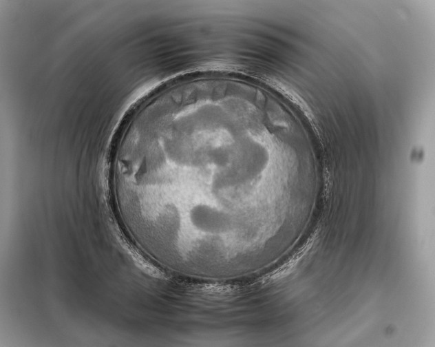 X0000099231029200805081552