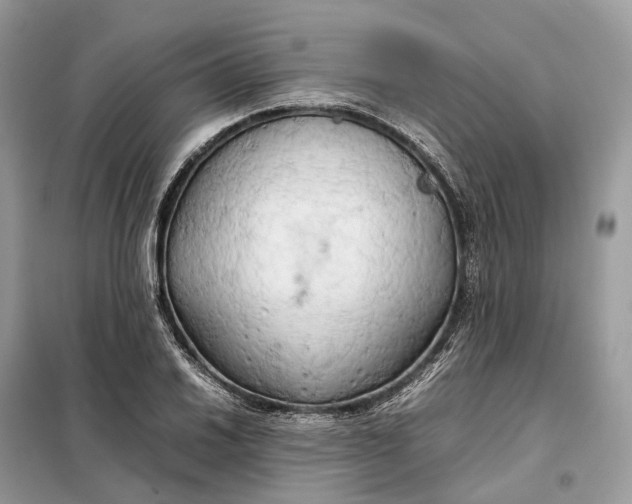 X0000099231030200805081552