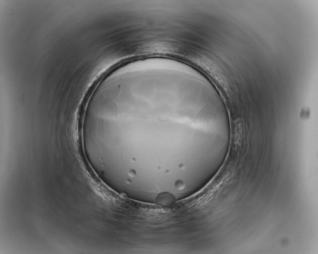 X0000099231031200805081552