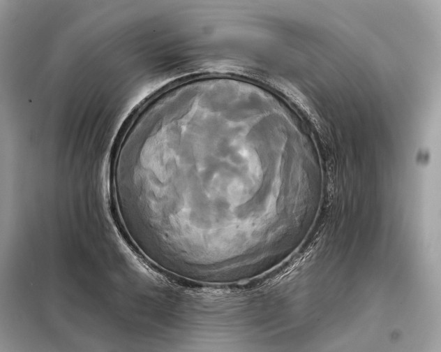 X0000099231032200805081552