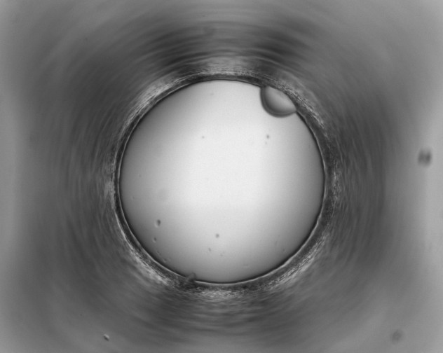 X0000099231033200805081552