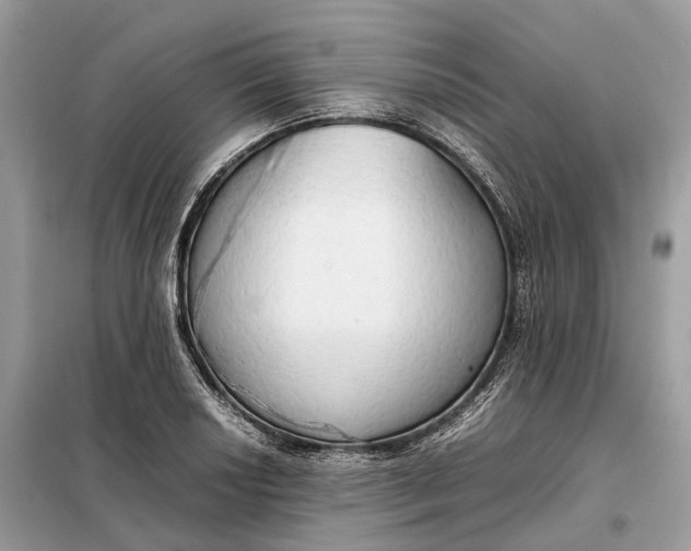 X0000099231034200805081552