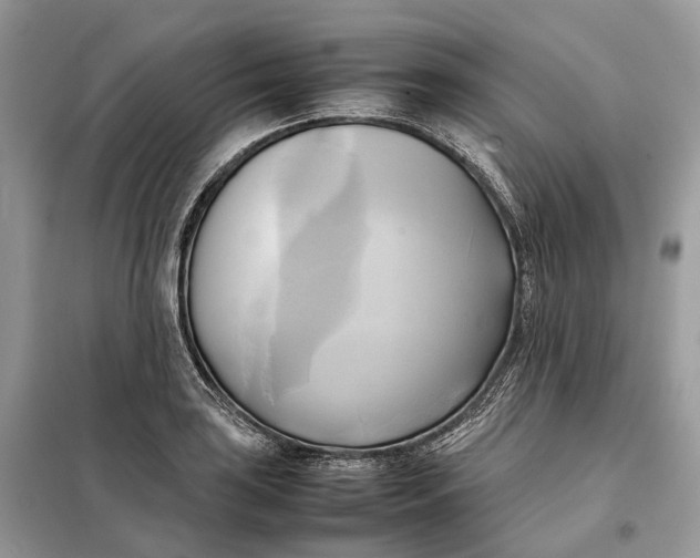 X0000099231035200805081552