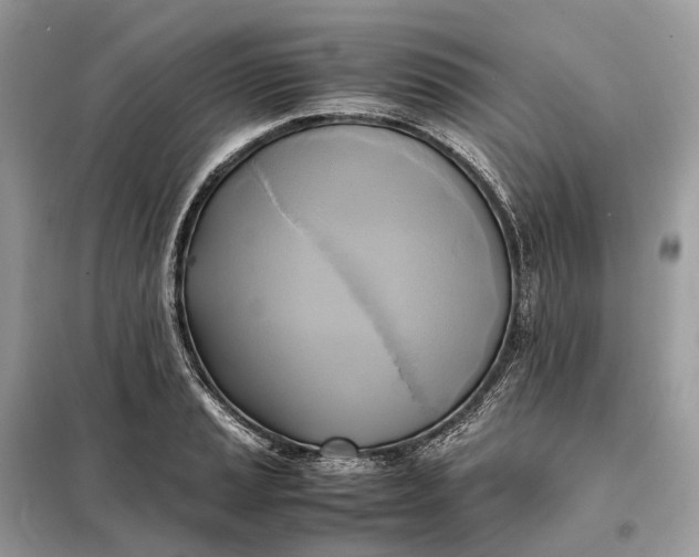 X0000099231037200805081552