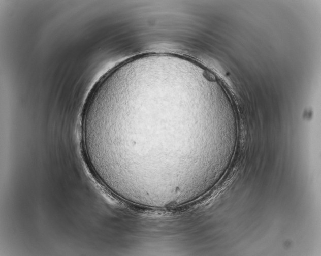 X0000099231040200805081552