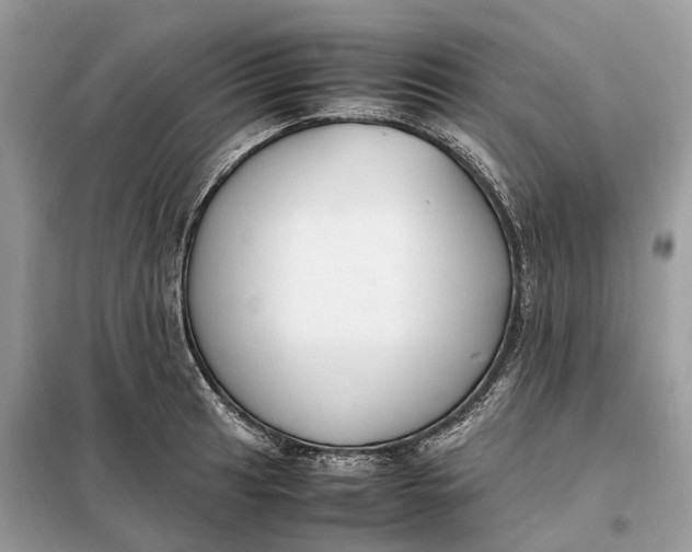 X0000099231041200805081552