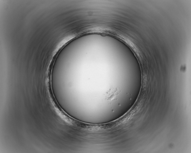 X0000099231042200805081552