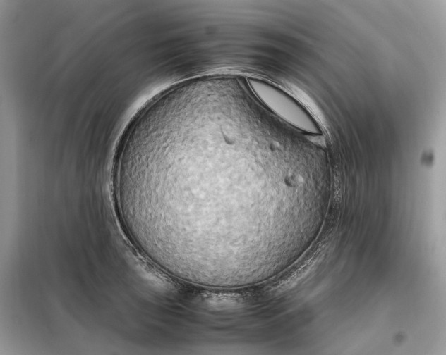 X0000099231043200805081552