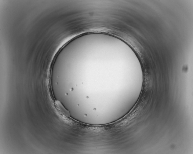 X0000099231044200805081552