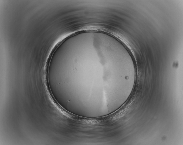 X0000099231045200805081552