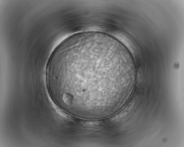 X0000099231047200805081552