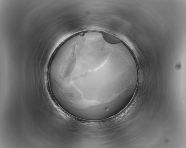 X0000099231048200805081552