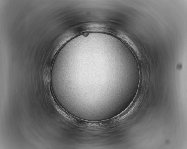 X0000099231049200805081552