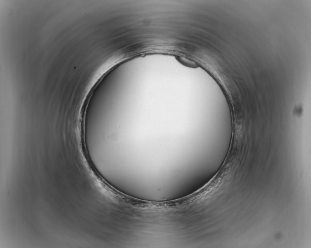 X0000099231050200805081552