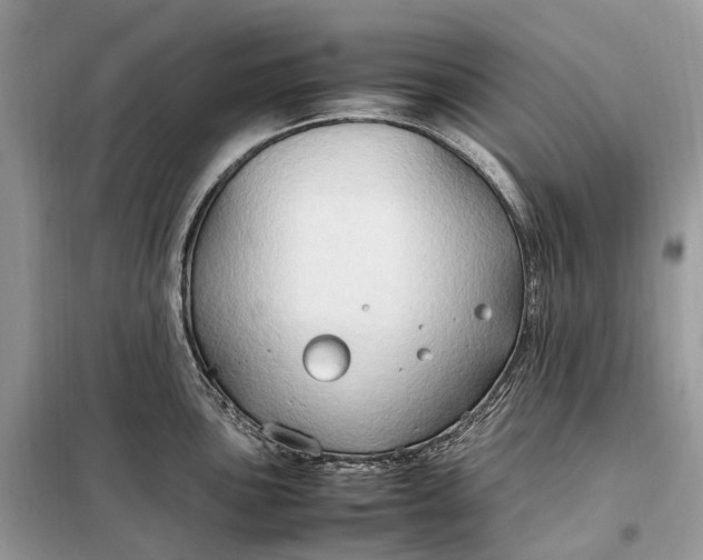 X0000099231051200805081552