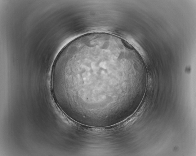 X0000099231052200805081552