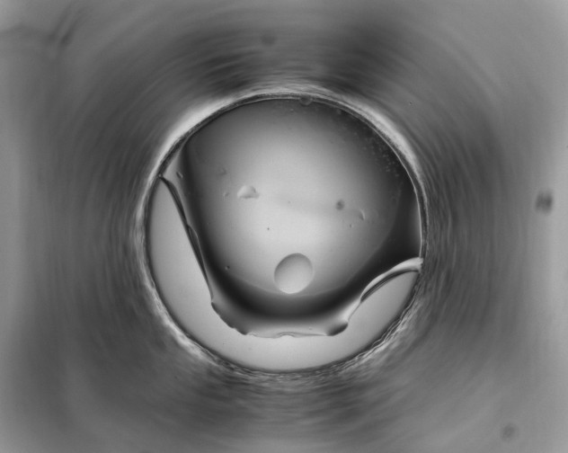 X0000099231053200805081552