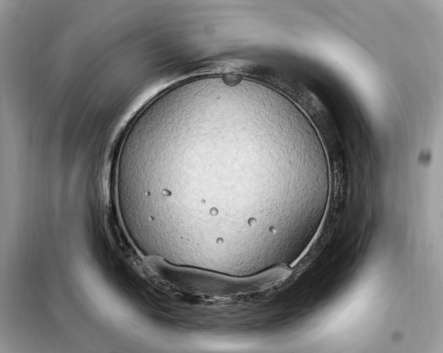 X0000099231054200805081552