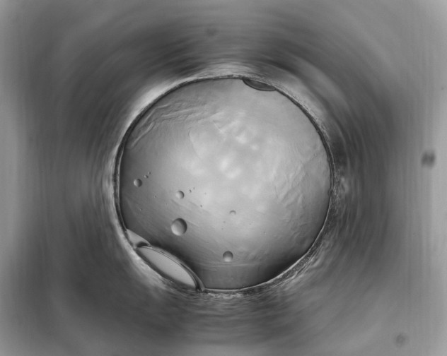 X0000099231055200805081552