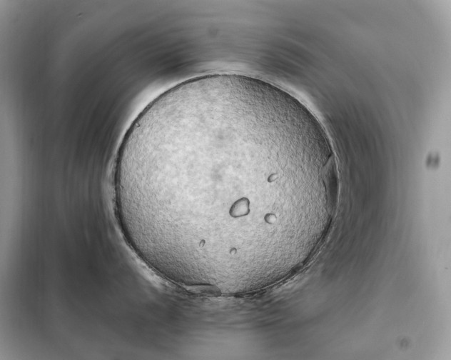 X0000099231056200805081552