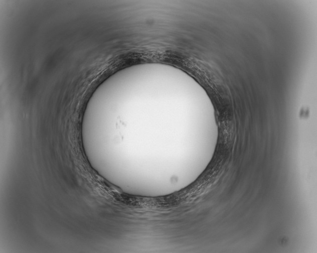 X0000099231057200805081552