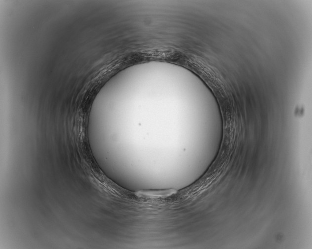 X0000099231058200805081552