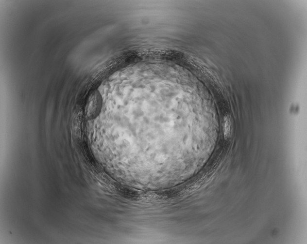 X0000099231059200805081552