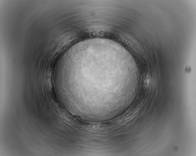 X0000099231060200805081552