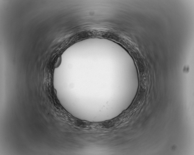 X0000099231061200805081552