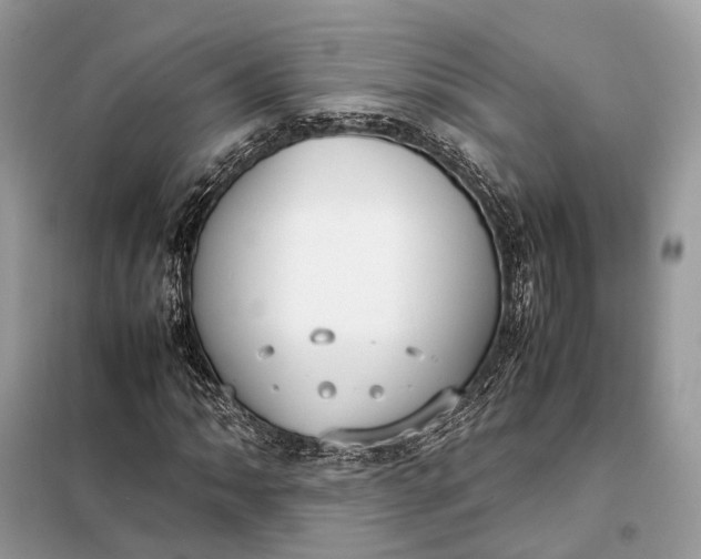 X0000099231062200805081552