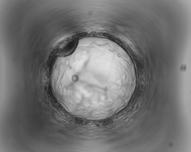 X0000099231063200805081552