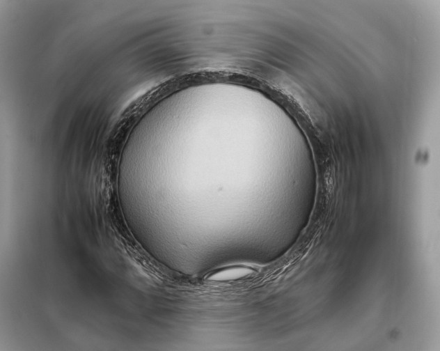 X0000099231064200805081552