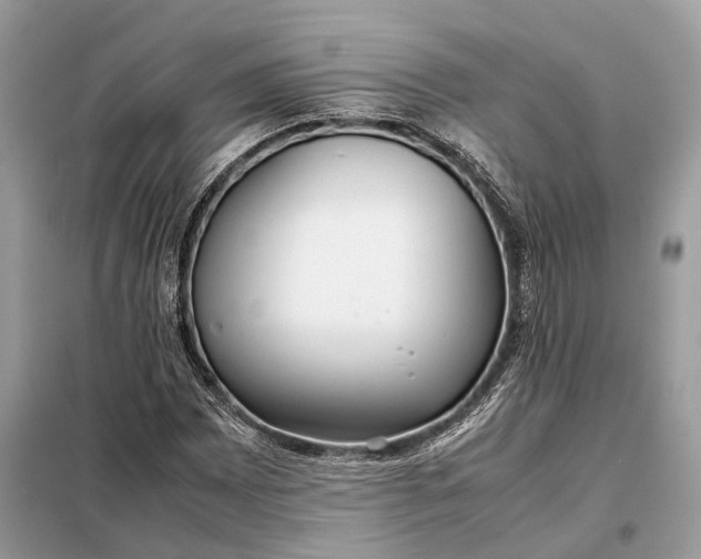 X0000099231065200805081552