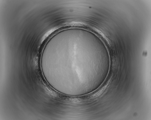 X0000099231066200805081552