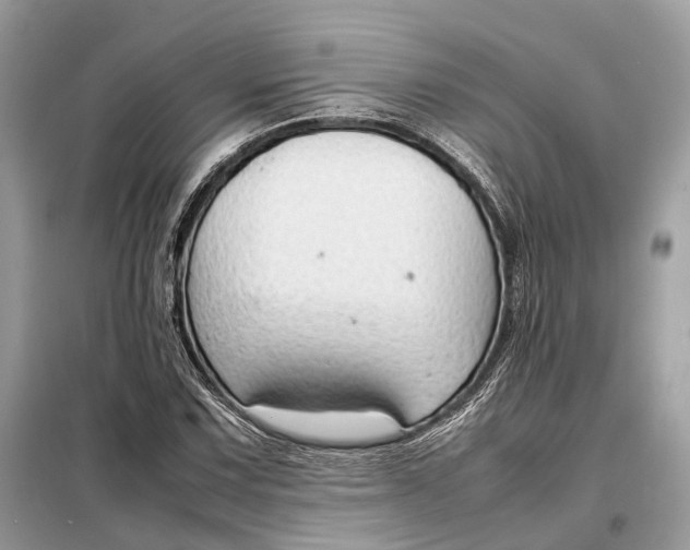 X0000099231067200805081552