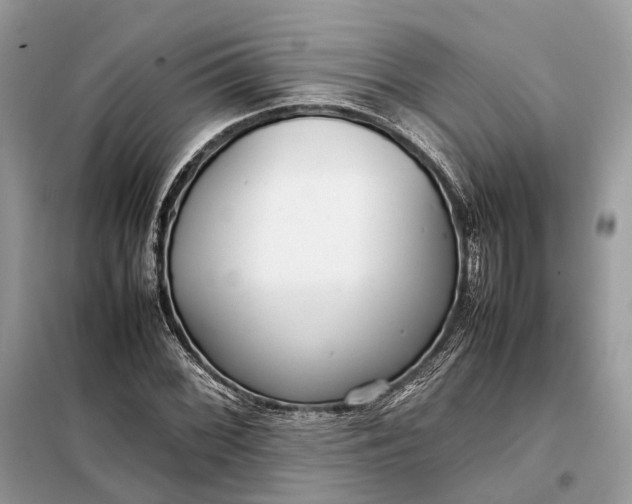 X0000099231068200805081552