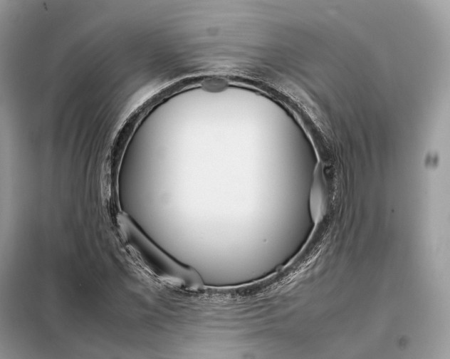 X0000099231069200805081552