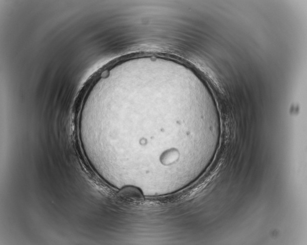 X0000099231070200805081552