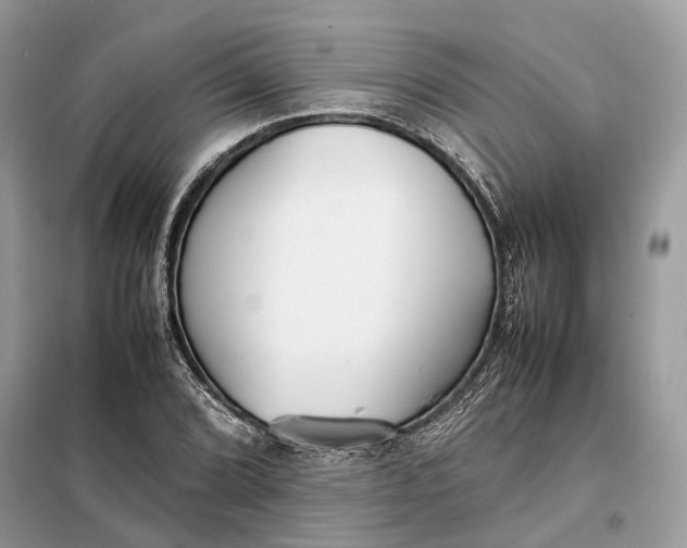 X0000099231072200805081552