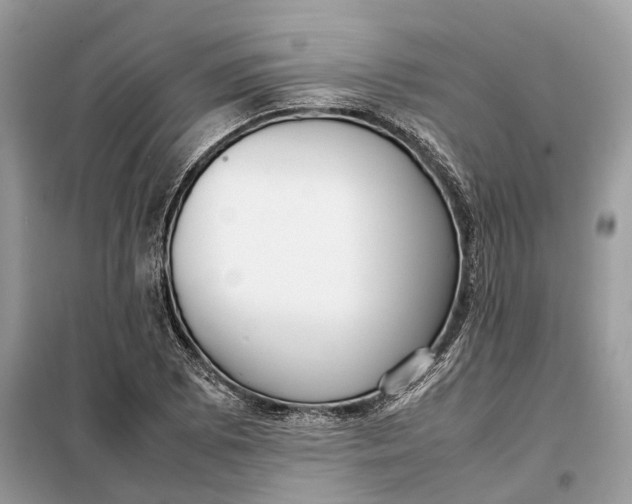 X0000099231073200805081552