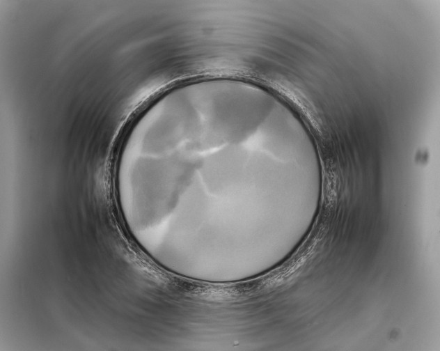 X0000099231074200805081552