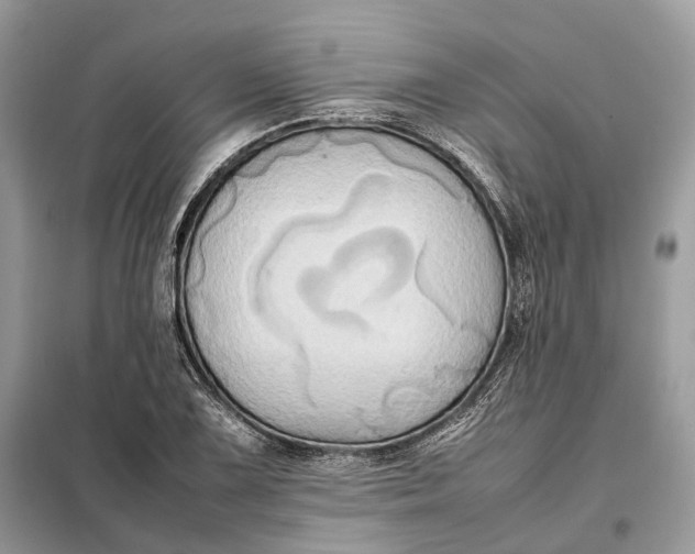 X0000099231075200805081552