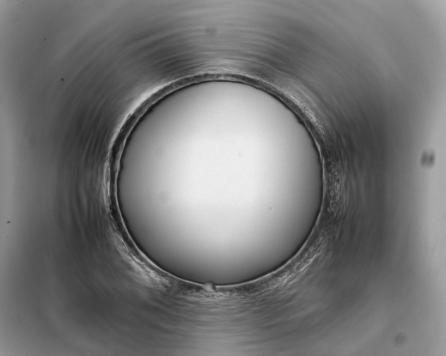 X0000099231076200805081552