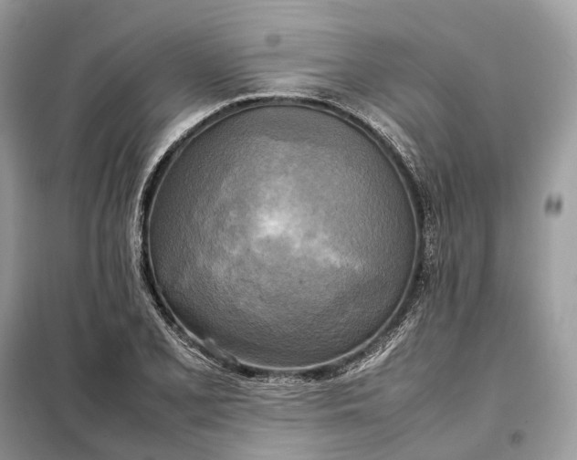 X0000099231077200805081551