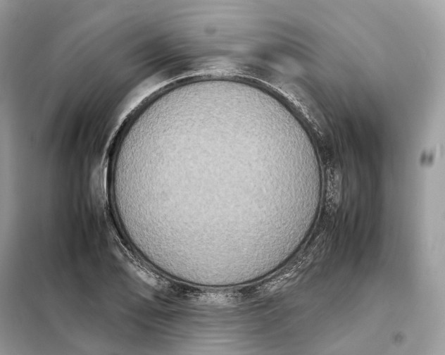 X0000099231078200805081551