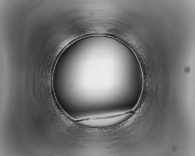 X0000099231081200805081551